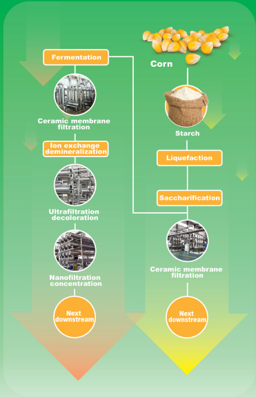 /uploads/image/2020/08/26/ceramic-membrane-technology.png ceramic-membrane-technology.png