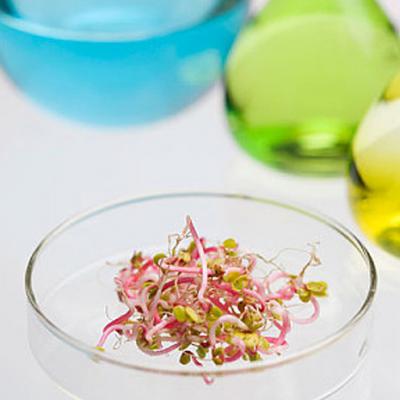 바이오 생산 설명