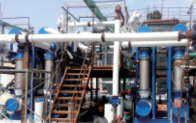 효소 펩티드 생산 공정에서 막 통합 기술 적용