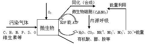污水处理厂除臭