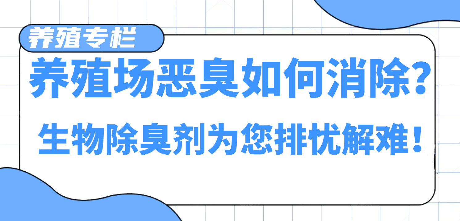 养殖场恶臭如何消除？生物除臭剂为您排忧解难！